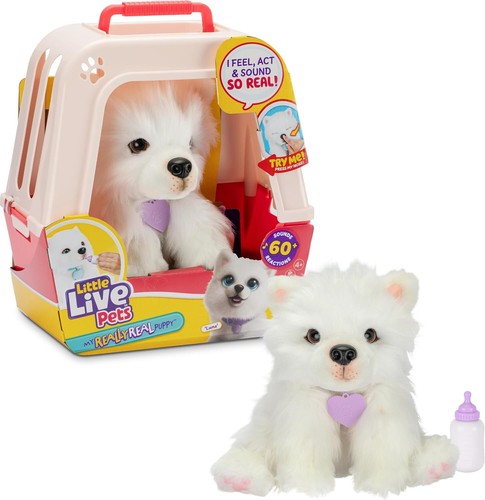 Llp little live - llp,