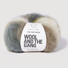 Wool and the Gang Take Care