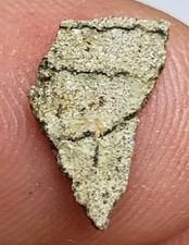 Hadrosaur Egg Shell Late Cretaceous Dinosaur Fossil.  Great Gift! Ref215