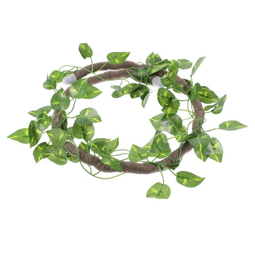 Frogs habitat leaves - ,