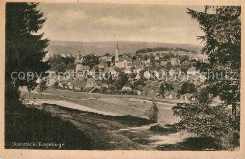 Yew stock - stock,