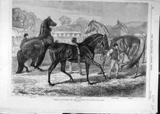 Original Old Antique Print