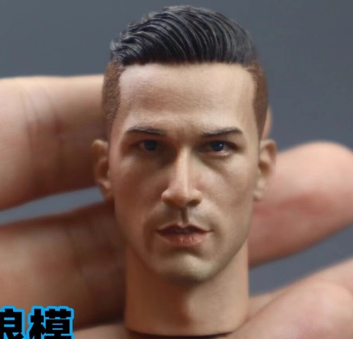 Scale male handsome head - male,
