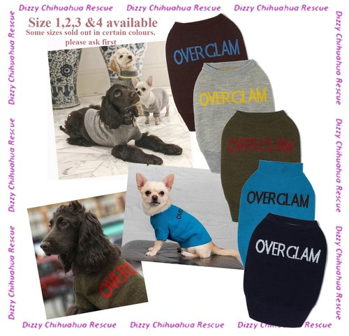 Overglam logo designer dog - overglam,