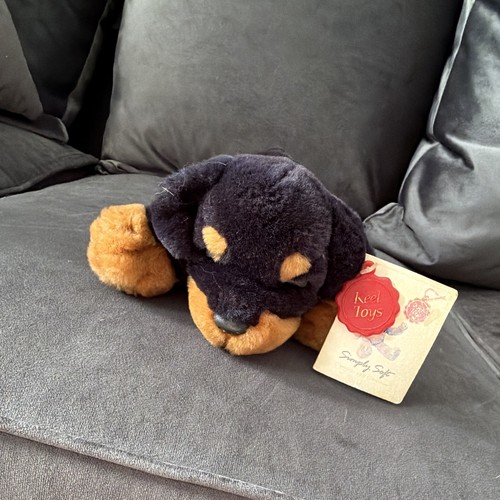 Old dog toy - old,