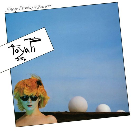 Toyah sheep farming barnet - farming,