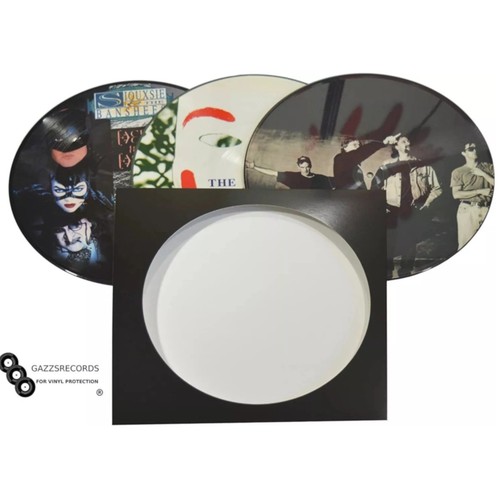 Picture disc vinyl sleeves - 10,