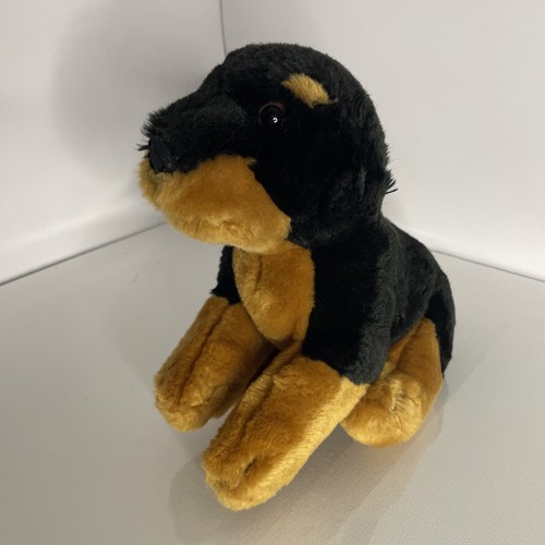 Animal alley rottweiler - animal, dog