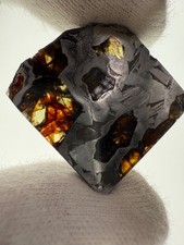 Seymchan Pallasite Meteorite