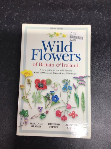 Wild flowers britain and - britain,