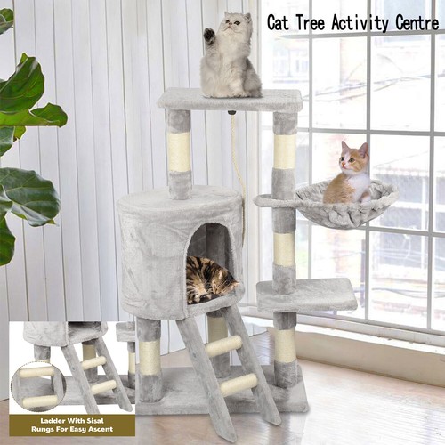 Cat tree activity centre - cat,