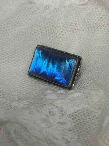Art deco blue morpho butterfly - deco,
