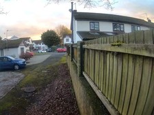 Large Oak Tree Trunk