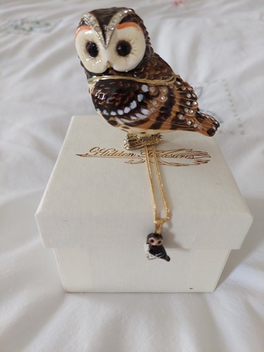 Hidden treasures tawny owl - hidden,