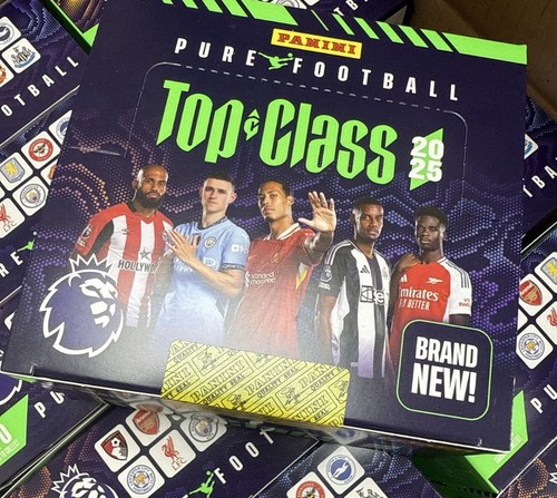 Panini premier league - premier,