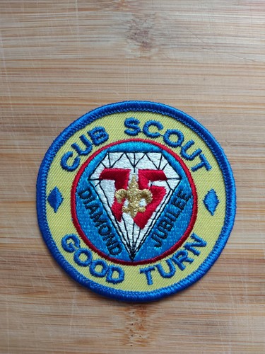 Boy scout america diamond - scout, of