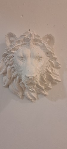 Lion head wall - lion, art