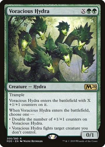 Voracious hydra m20 nm - voracious,