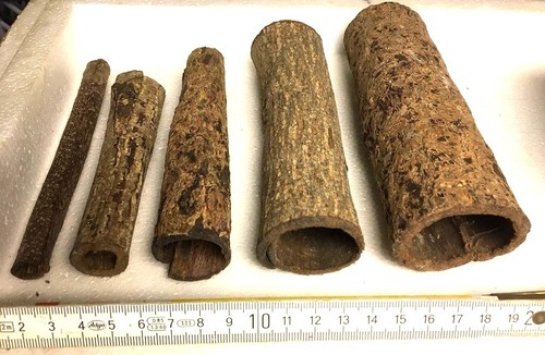 Sea almond bark tube - sea, 1-6cm
