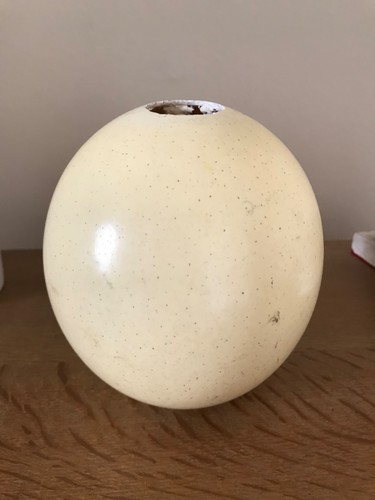 Antique vintage off - antique,