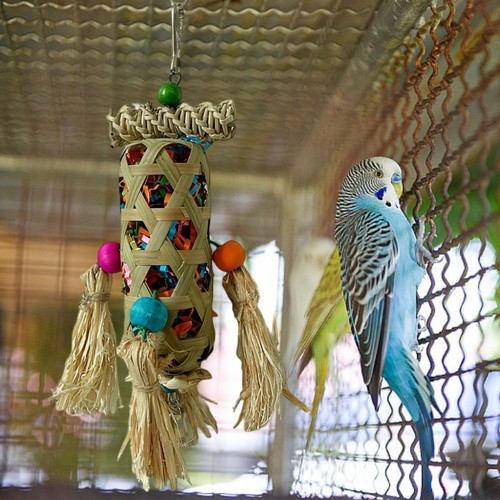 Parrot chew toy unique for - toy,