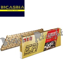 5038 - DID 520ERT3 CHAIN (Gold