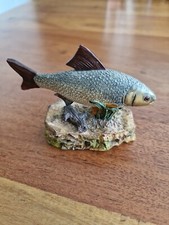 Roach - The Anglers Showcase Collection - Danbury Mint