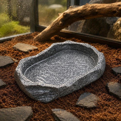 Terrarium rock bowl - rock,