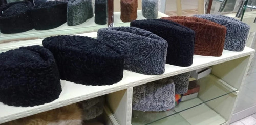 Persian lamb kufi - persian, sheep