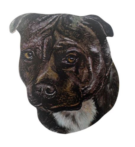 Staffordshire bull terrier - staffordshire,