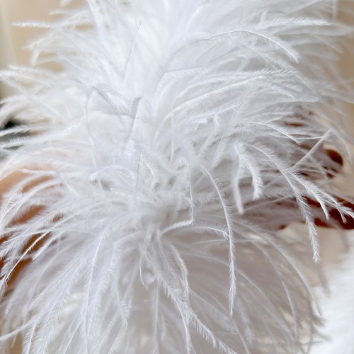 Ply feather boa fluffy - 10,