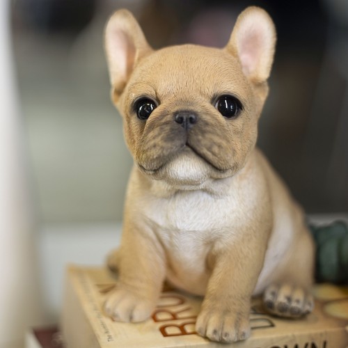 Soreal brown french bulldog - soreal,