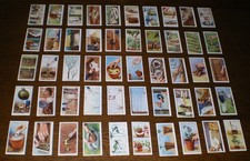 Set of WILLS GARDEN HINTS 1938  cigarette cards VG Condition