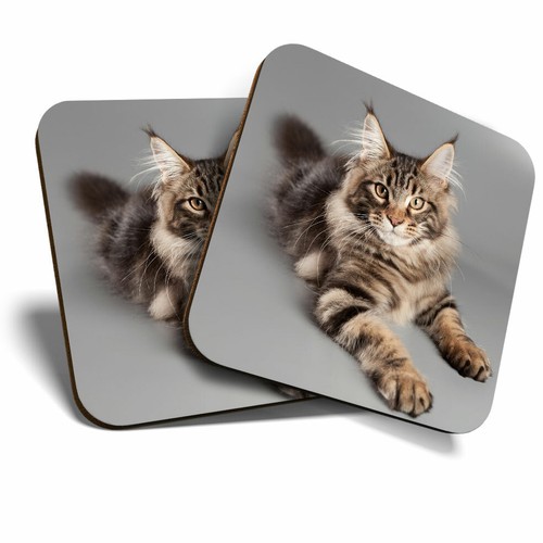 Coasters cute maine coon - coasters,