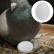 20 Pcs Plastic Pigeon Egg