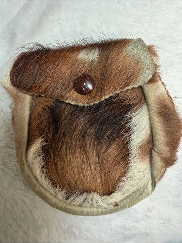Vintage springbok antelope - vintage,