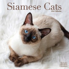 Siamese Cats Calendar 2026 -