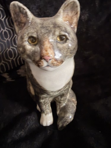 Winstanley cat size - winstanley, 5