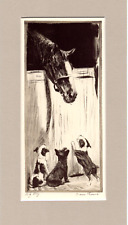 Wire Fox, Scottie & Boston Terriers Puppies ~ Horse ~Diana Thorne Genuine  1935