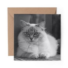 1 x Blank Greeting Card BW -
