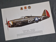 Squadron Print P-47D