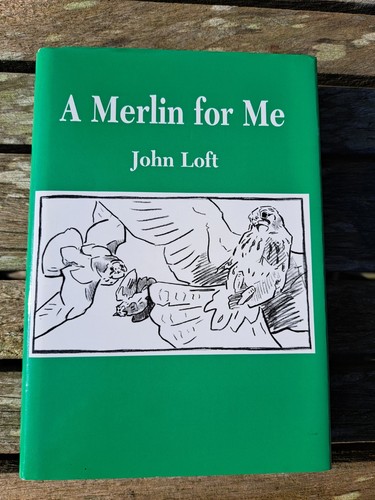 Falconry merlin for me by - me,