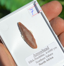 HIGH GRADE PREHISTORIC/