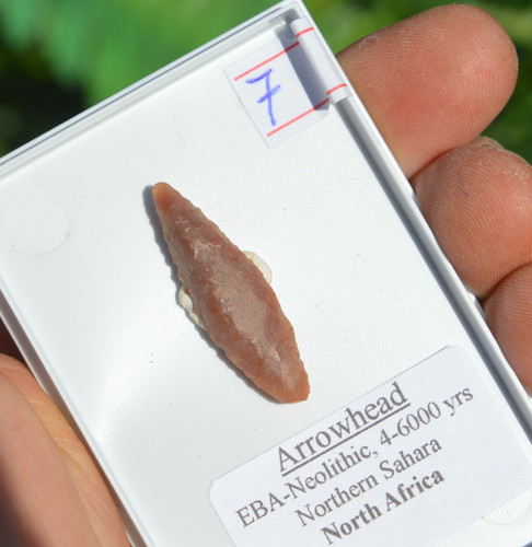 High grade prehistoric - high, prehistoric/