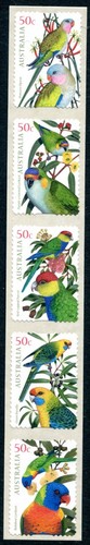 2005 australian parrots - 2005,