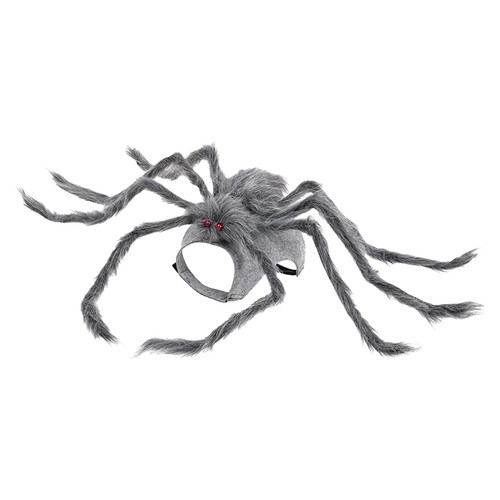 Namvo spider dog - namvo,