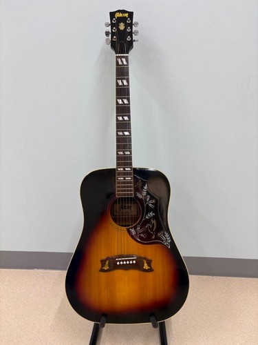 Tomson hummingbird acoustic - tomson,
