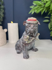 Charming English Bulldog