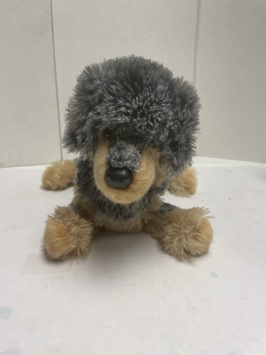 Douglas rescue pup nipper dog - douglas,