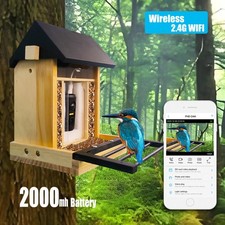 1080P Solar Powered Bird